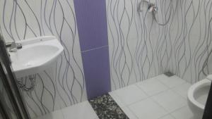 玛琅斯亚里亚格拉哈迪民宿的一间带水槽和卫生间的浴室