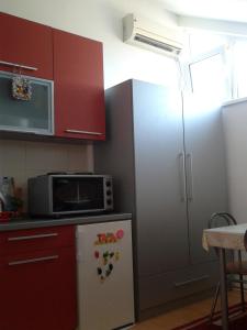 索科矿泉村Studio Pinos的厨房配有冰箱和微波炉。