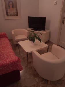 佛罗伦萨利费雷迪公寓的带沙发和电视的客厅
