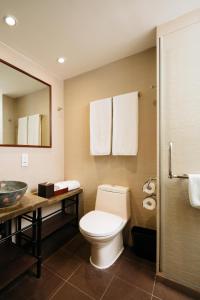 香港晋逸精品酒店 中环的一间带卫生间和水槽的浴室