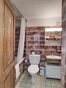 韦尔比耶Apartment Mandarin 118Bis的一间带卫生间和水槽的浴室