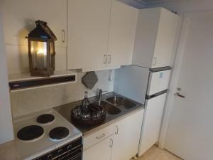 GranbergetFjällsikten Apartment的厨房配有水槽、炉灶和冰箱