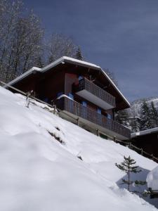 沙泰勒Le Ciel Bleu的雪覆盖的斜坡顶部的房子