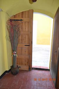 Sant Pere SacarreraCal Llorenç的门前有植物的花瓶