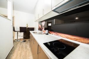 巴尼亚卢卡Studio apartman Centar的厨房配有水槽和炉灶 顶部烤箱