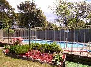 梅林布拉海港之光假日公寓的一个带围栏的游泳池和一个种满鲜花的花园