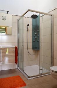 WinzerFerienhof Nirschl的浴室里设有玻璃门淋浴