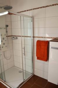 WinzerFerienhof Nirschl的带淋浴的浴室和玻璃门