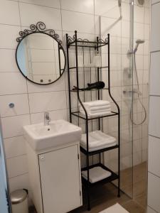 布莱德Apartma Neža的带淋浴、盥洗盆和镜子的浴室