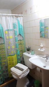 埃博森Casa Sur的一间带卫生间和水槽的浴室