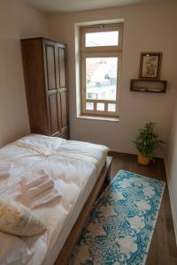 萨拉热窝Apartments Salim的一间卧室设有床、窗户和地毯。
