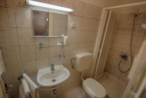 木洛希尼Rosemary Apartments & Rooms的一间带水槽、卫生间和淋浴的浴室