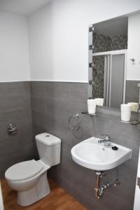 阿里纳加Apartamento Quintana的一间带卫生间和水槽的浴室