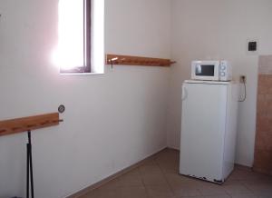 上布拉特纳Penzion, apartmany Florian的冰箱上的小白色微波炉
