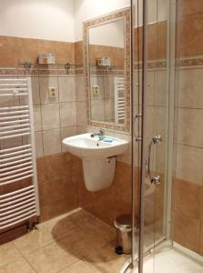 上布拉特纳Penzion, apartmany Florian的一间带水槽和淋浴的浴室