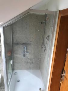 勒讷Apartment Am Sudbach的浴室里设有玻璃门淋浴