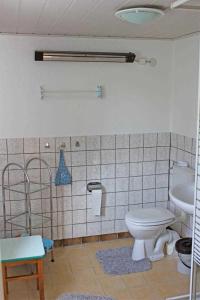 KummerowFerienhaus Kummerow SCHW 731的一间带卫生间和水槽的浴室