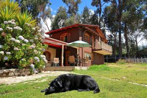 瓦拉斯The Lazy Dog Inn a Mountain Lodge的一只黑狗躺在房子前面的草地上