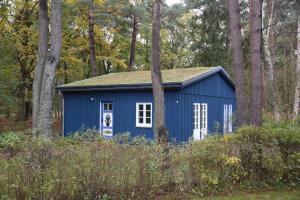 青斯特chalet Zingst的树林里的一个蓝色棚子,树丛里