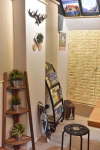 花莲市喀嚓缓旅 - 123 Cheers Hostel的一间设有滑板的房间和一个植物架子的房间