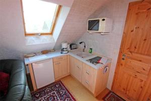 克劳斯多夫Ferienwohnungen Klausdorf FDZ 360的一间带水槽和微波炉的小厨房