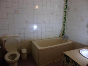 春川集林汽车旅馆的带浴缸、卫生间和盥洗盆的浴室