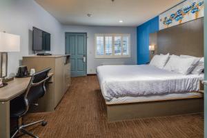 贝尔蒙硅谷酒店的酒店客房配有一张床、一张书桌和一台电脑