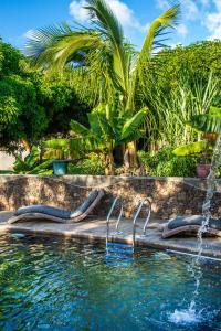 安加罗阿威摩那酒店的一个带喷泉的游泳池