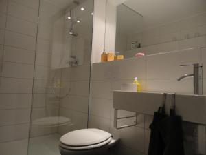 班贝格巴姆贝格美丽的度假酒店的浴室配有卫生间、盥洗盆和淋浴。