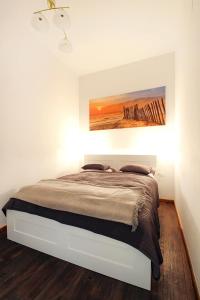 维也纳拉纳公寓的一间卧室配有一张壁画床