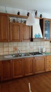 皮斯托亚Appartamento Isabella的厨房配有木制橱柜、水槽和炉灶。