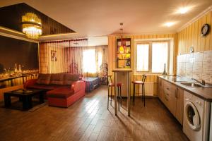 切尔尼戈夫ApartLux Chernigov的带沙发的客厅和厨房