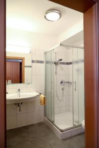 阿布特瑙盖斯特豪斯 - 兰德特奥斯特恩酒店的带淋浴和盥洗盆的浴室