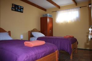 圣佩德罗·德·阿塔卡马Hostal Km Zero - El Senor del Lascar的一间卧室设有两张带紫色床单的床和窗户。