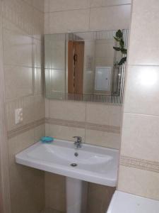 阿拉木图Квартира的浴室设有白色水槽和镜子