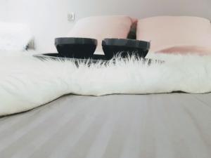 圣热尔韦莱班Central Sweet Home的一只白色猫躺在床上,床上放着两个枕头