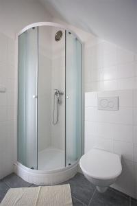 KlíčnovChata Kopanina的浴室设有玻璃淋浴间和卫生间