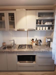 里加2 Bedroom Lux Apartments的厨房配有水槽和炉灶 顶部烤箱