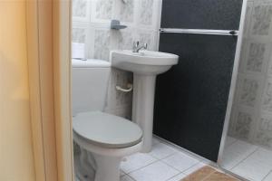 里约达欧特拉斯Pousada da Lenna的浴室配有卫生间、盥洗盆和淋浴。