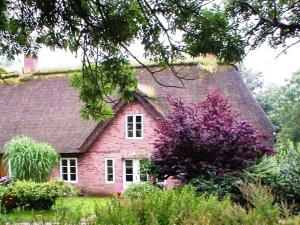 SimonsbergMarie Carla的紫色树的粉红色砖屋