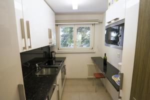 达沃斯Haus Bündabrücke - Mosbacher的一个带水槽和窗户的小厨房