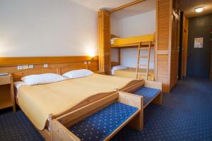 克拉尼斯卡戈拉Hotel Špik的一间卧室设有两张双层床和梯子