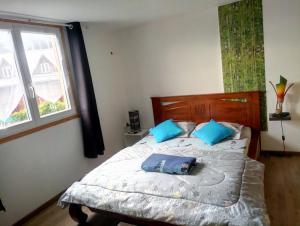 锡拉奥莱斯克里奥尔花园公寓的一间卧室配有一张带蓝色枕头的床和一扇窗户。