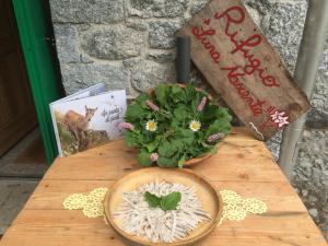 圣马蒂诺Rifugio Luna Nascente的木桌,带植物和书籍