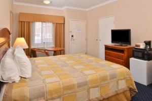 二十九棕榈村Starlight Inn Joshua Tree - 29 Palms的配有一张床和一台平面电视的酒店客房