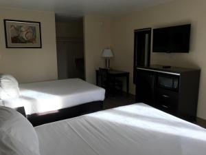 科尔顿科尔顿酒店的酒店客房设有两张床和一台平面电视。