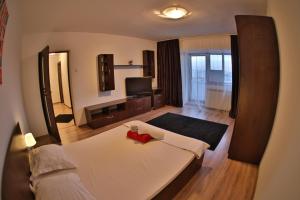 布加勒斯特Dream Residence 49的酒店客房,配有床和电视