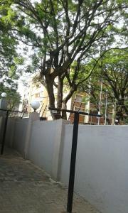 约翰内斯堡Royal Crown Guesthouse的后面有树的白色围栏