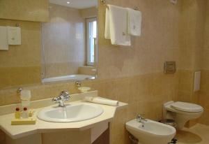 特罗扬特罗扬广场酒店的一间带水槽、卫生间和镜子的浴室