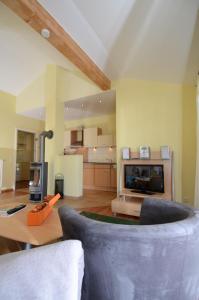 奥斯赛拜-塞林Villa Seerose - Apt 20 Seestern的带沙发和电视的大型客厅